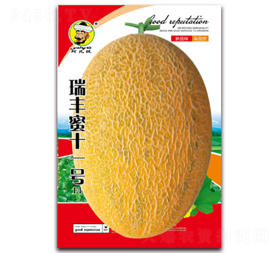 ���S��ʮһ̖F1-��ϷN��-�F(xi��n)���N�I(y��)