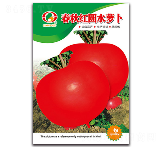 ����t�Aˮ�}��-�}���N��-�����N�I(y��)