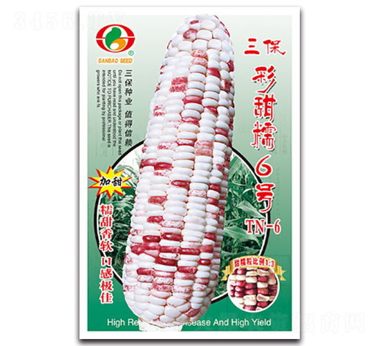 ��������Ŵ6̖-Ŵ���׷N��-�����N�I(y��)