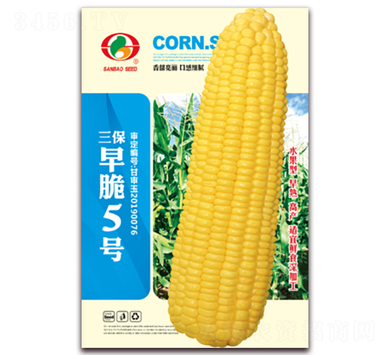 三保早脆5號-甜玉米種子-三保種業(yè)