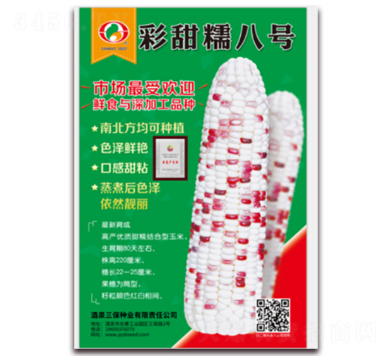 彩甜糯八號-糯玉米種子-三保種業(yè)