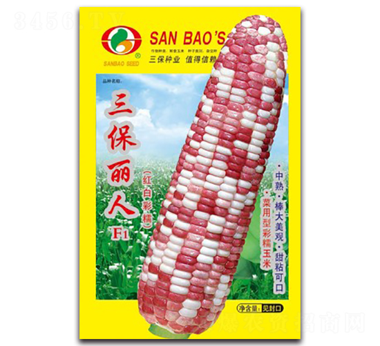 三保麗人F1-紅白彩糯玉米種子-三保種業(yè)