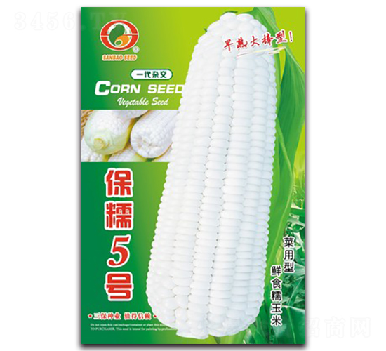 保糯5號(hào)-糯玉米種子-三保種業(yè)
