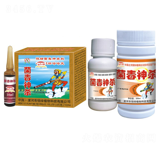 菌毒神殺-頂天立地-恒綠植物