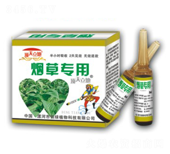 煙草專用-頂天立地-恒綠植物