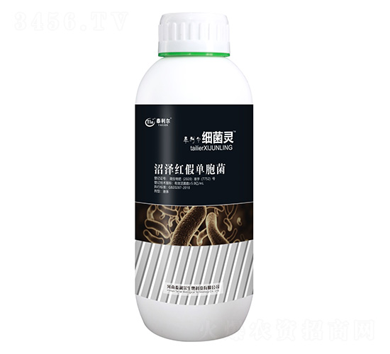 �ӝɼt�نΰ���-��(x��)���`-̩����