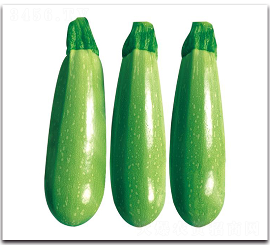 �ۿ�2̖(h��o)-�����J�N��-��ľ�N��