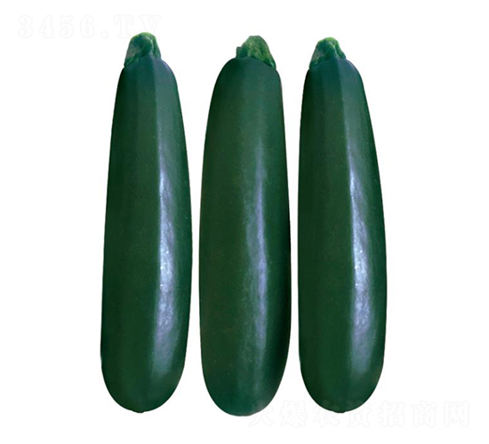 ����-�����J�N��-��ľ�N��