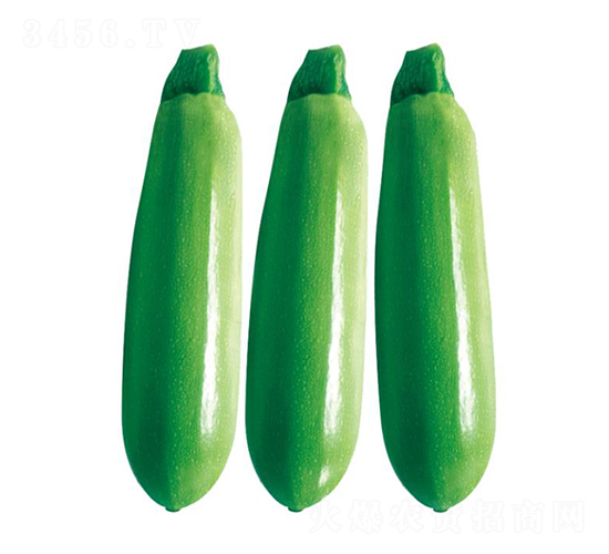 ������-�����J�N��-��ľ�N��