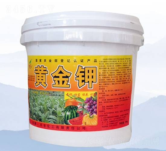 10kg�S���-���S