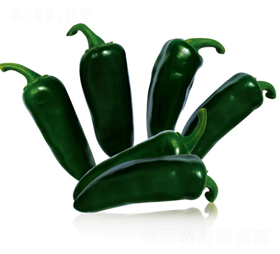 ����08-�����N��-��ľ�N��