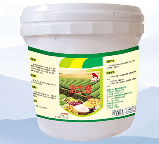 ������-���S