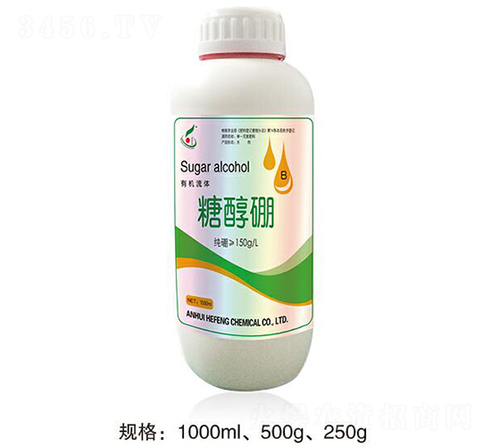 �Ǵ���-���S