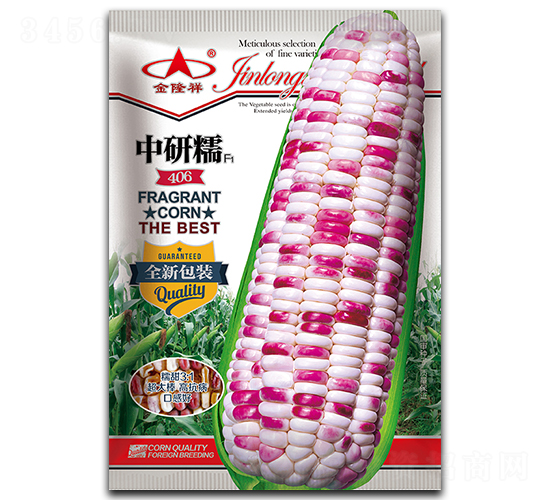 中研糯406-糯玉米種子-金隆祥