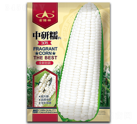 中研糯308-糯玉米種子-金隆祥