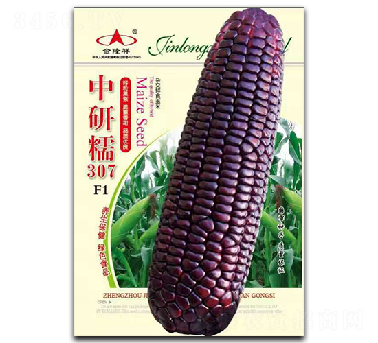 中研糯307-糯玉米種子-金隆祥