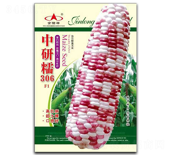 中研糯306-糯玉米種子-金隆祥