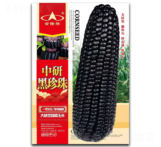 中研黑珍珠-糯玉米種子-金隆祥
