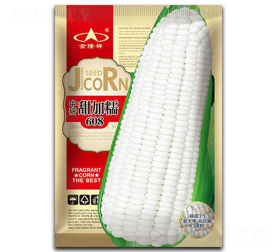 甜加糯608-糯玉米種子-金隆祥