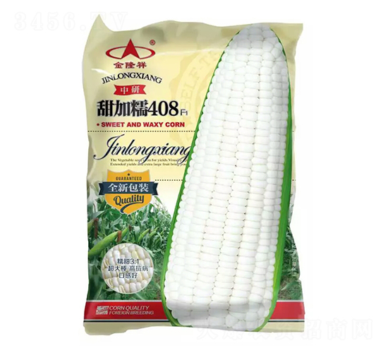 甜加糯408-糯玉米種子-金隆祥