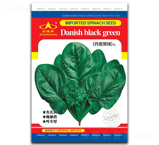 丹麥黑綠-菠菜種子-金隆祥