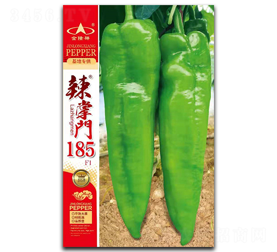 �����T185-�����N��-��¡��