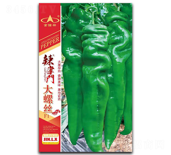 �����T���ݽz-�����N��-��¡��