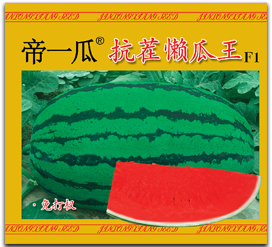 ��һ�Ͽ���й���-���ϷN��-��¡��