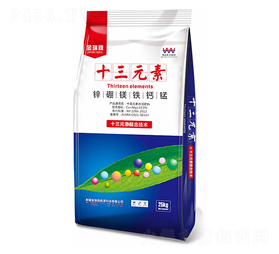 十三元素-金瑞嘉