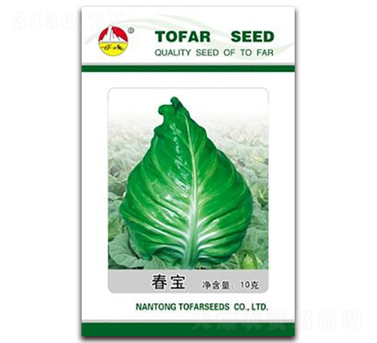 ����-���{(l��n)�N��-�|���N�I(y��)