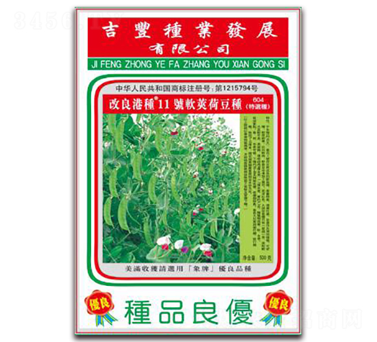 改良港種11號(hào)軟莢荷豆種(604特選種)-荷蘭豆種子-吉豐種業(yè)