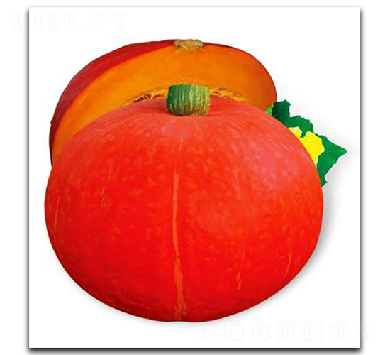 PA07-�ϹϷN��-�G�x�N�I(y��)