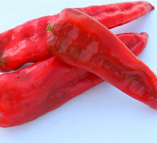 PA09-�����N��-�G�x�N�I(y��)