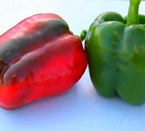 PA03-�����N��-�G�x�N�I(y��)