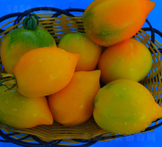 TA06-���ѷN��-�G�x�N�I(y��)