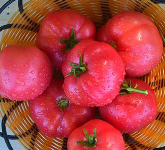 TA03-���ѷN��-�G�x�N�I(y��)