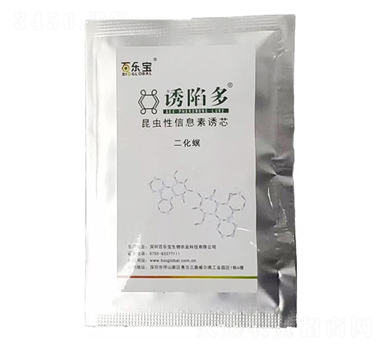 ���������Tо-�T�ݶ�-�٘���