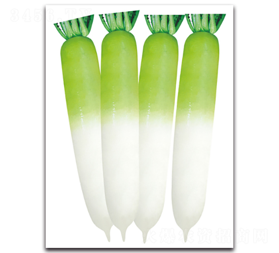 �����~-�}���N��-���}�r(n��ng)�I(y��)