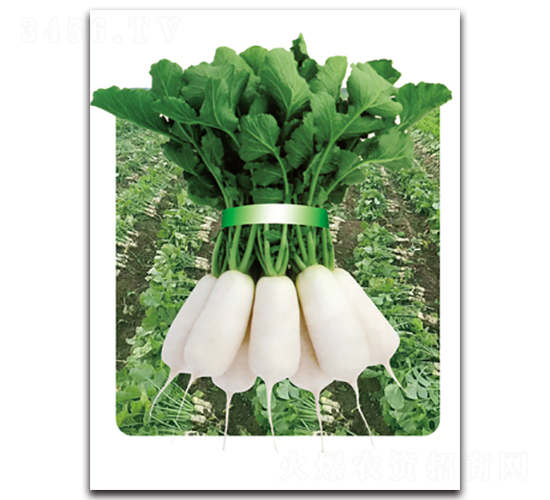 �r(n��ng)�Ґ�(��i)��̖(h��o)-�}���N��-���}�r(n��ng)�I(y��)