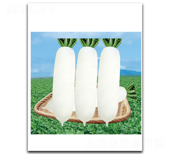 ������ѩ-�}���N��-���}�r(n��ng)�I(y��)