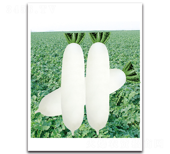 ��������-�}���N��-���}�r(n��ng)�I(y��)