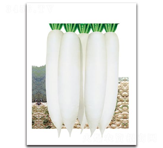 �n������-�}���N��-���}�r(n��ng)�I(y��)