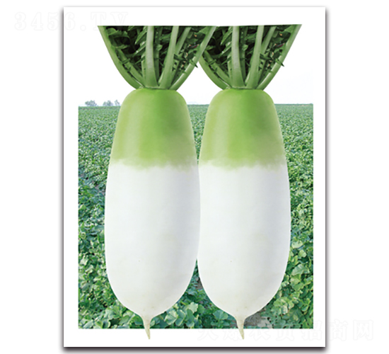 ��G������-�}���N��-���}�r(n��ng)�I(y��)