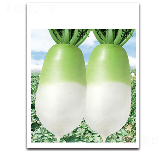 ��G����-�}���N��-���}�r(n��ng)�I(y��)