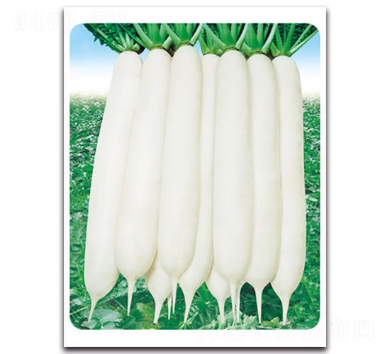 ��G����-�}���N��-���}�r(n��ng)�I(y��)