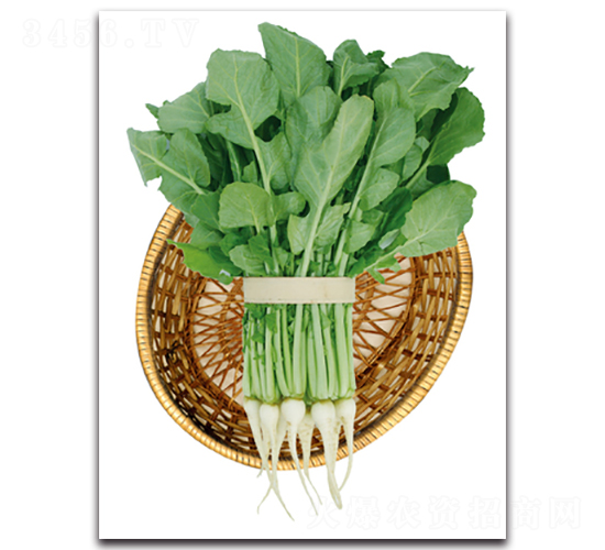 ��G��Ԫ�~-�}���N��-���}�r�I(y��)