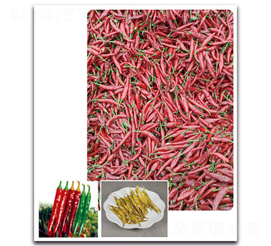 ��G���-�����N��-���}�r(n��ng)�I(y��)