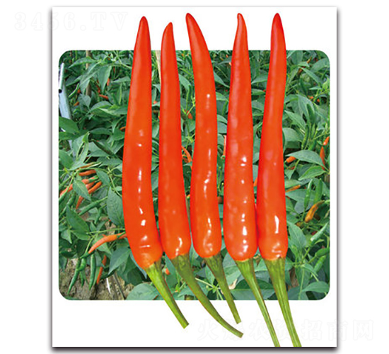 ��G���t-�����N��-���}�r�I(y��)