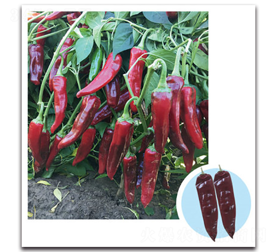 ��G����-�����N��-���}�r�I(y��)