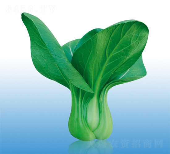 �֠�918-�๣�˷N��-�֠��r(n��ng)�I(y��)